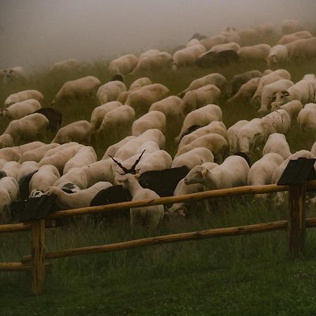 Osada Matygówka Vila Gliczarów Exterior foto
